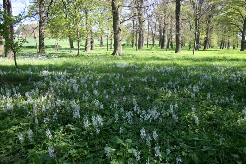 Killikus® Fotographie Killikus® Fotographie